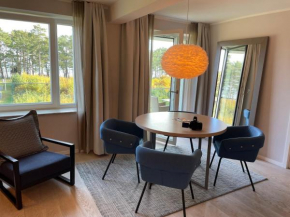 Seeschwalbe mit Meerblick, Binz